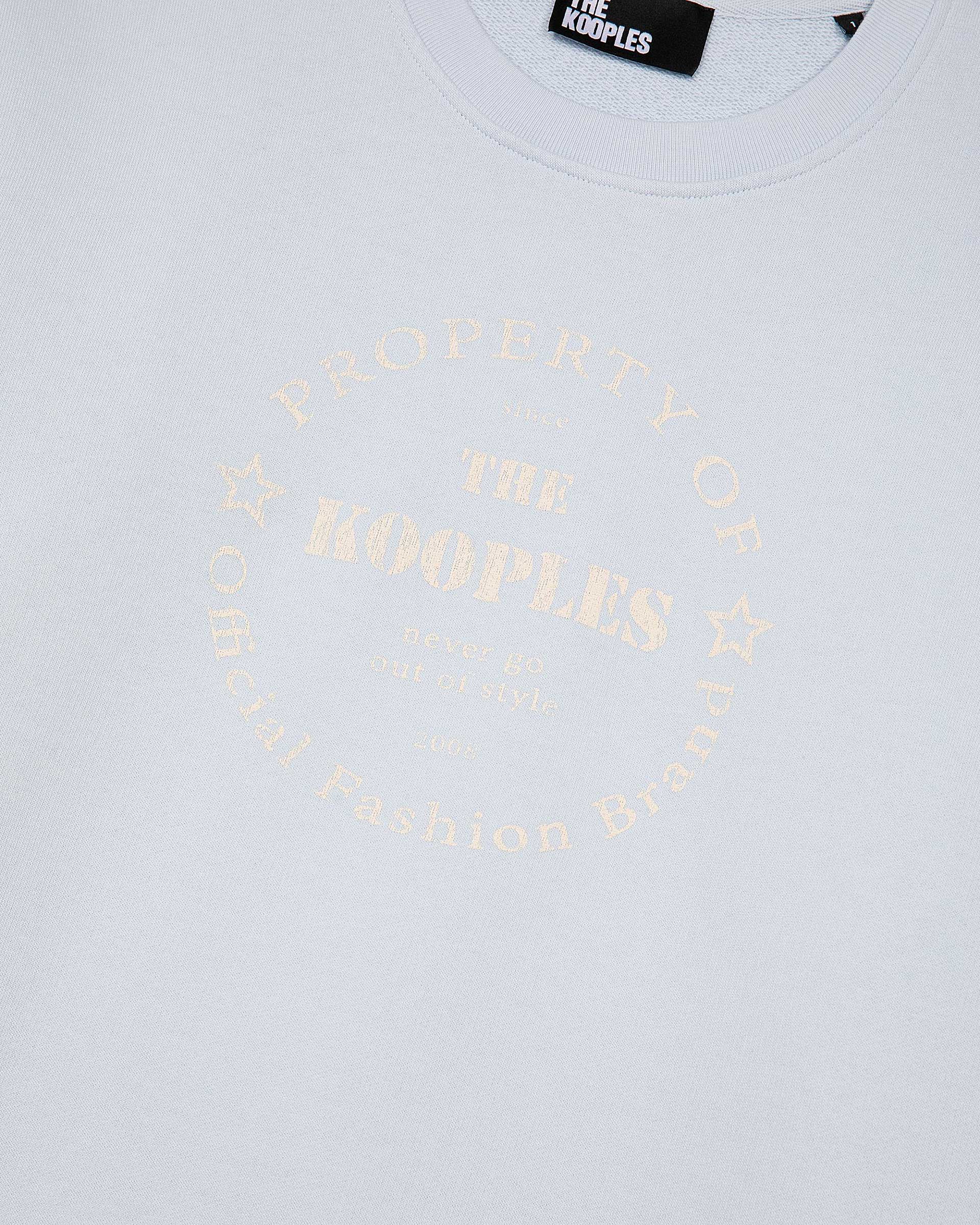 Sweathshirt with light blue screen print