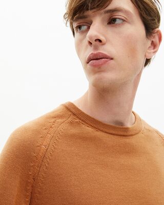 Camel sweater