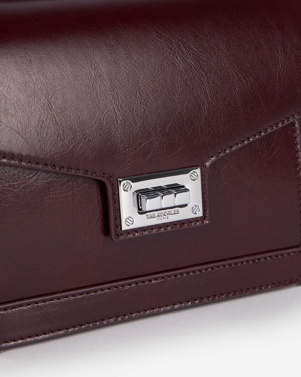 Emily small bag in burgundy cracked leather